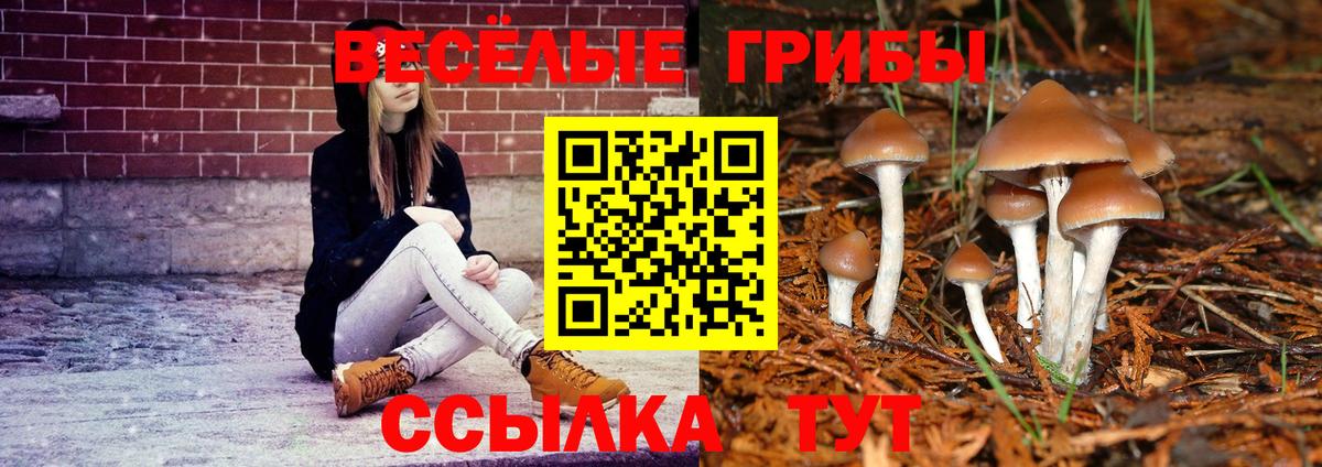 Галлюциногенные грибы Magic Shrooms  закладки  Алапаевск  Вход с VPN 